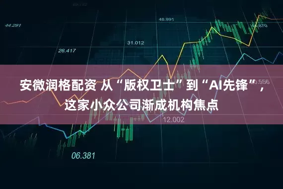 安微润格配资 从“版权卫士”到“AI先锋”,这家小众公司渐成机构焦点