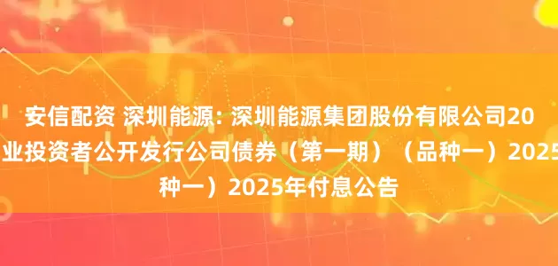 安信配资 深圳能源: 深圳能源集团股份有限公司2021年面向专业投资者公开发行公司债券（第一期）（品种一）2025年付息公告